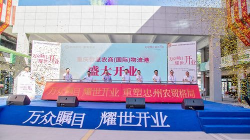 忠縣農產品物流港盛大開業，一站式初加工服務賦能農產品流通體系現代化